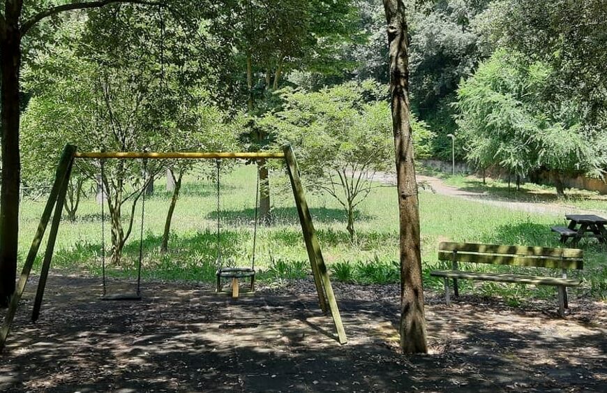 Il punto sul Parco Urbano dei Camaldoli e sulla riforestazione in città